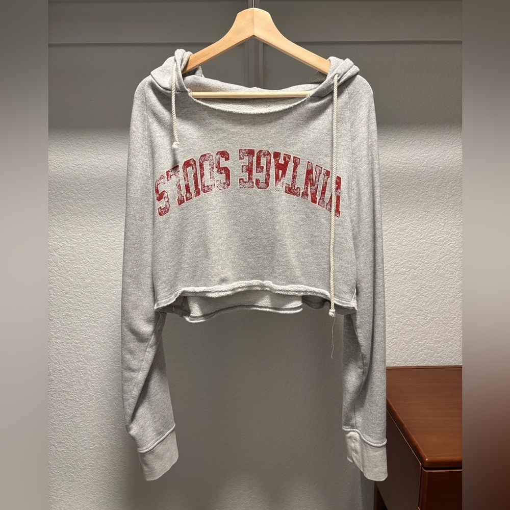 Vintage Souls Los Angeles cropped hoodie Small